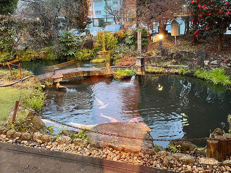 柿の木坂 更科 小岩店　庭